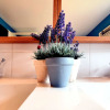 Отель Rustic Holiday Home With Sauna, Terrace and Garden, фото 13