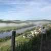 Отель Wein- und Gaestehaus Genetsch, фото 13