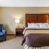 Отель Comfort Inn And Suites, фото 11