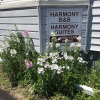 Отель Harmony B&B & Suites, фото 1