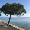 Отель Les Amarres Aiguillon, фото 9