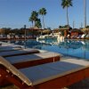 Отель Pavlo Napa Beach Hotel, фото 16