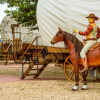 Отель The Big Texan - Cabins & Wagons, фото 18