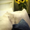 Отель Simcoe Suites on the Henley B&B, фото 10