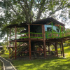 Отель Room in Lodge - Tree House Finca La Floresta Verde, фото 7