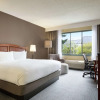 Отель DoubleTree by Hilton Detroit Novi, фото 3