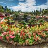 Отель Duong Sat Hotel, фото 3