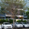 Отель Woodroof Residence Rangsit, фото 13