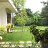 Отель Green wood villa, фото 38