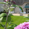 Отель Logis Hôtel Les Chaumières Du Lac Rest. Les Typhas, фото 6