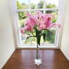 Отель Rose Cottage, фото 13