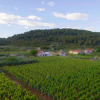 Отель Filip - Vineyard and Large Terrace - SA1 Žuti, фото 16