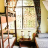 Отель Rafiki Backpackers & Guesthouse, фото 2