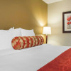 Отель Comfort Inn Burlington, фото 5