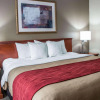 Отель Comfort Inn Near Six Flags St. Louis, фото 3