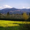 Отель Il Bosco Agriturismo, фото 25