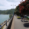 Отель Whakatane Hotel, фото 19