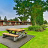 Отель Arbutus Grove Motel, фото 16