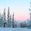 Отель Lapland Snow Cabin, фото 1