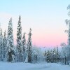 Отель Lapland Snow Cabin в Кируне