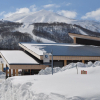 Отель Niseko Freedom Inn, фото 8