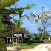 Отель Rimpu Hill Resort, фото 7
