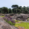 Отель CT 120 CO - El Oasis del Lago - CT 120 CO - El Oasis del Lago, фото 29