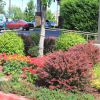 Отель Best Western Plus Lacey Inn & Suites, фото 24