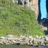 Отель Praia y Sol, фото 43