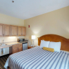 Отель Mt. Rose Hotel, фото 3
