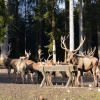 Отель Veiter-Hof, фото 12