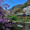 Отель Yoshiike, фото 27