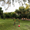 Отель Old Sport Mansion, фото 12