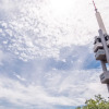 Отель Apartment Žižkov Tower, фото 15
