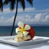 Отель Taveuni Palms, фото 6