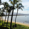Отель Central Maui Hostel, фото 27