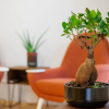 Отель Low Cost Parking - Private Garden - Almada 392, фото 3