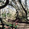 Отель Charming Yurt in Kelburn Estate Near Largs, фото 14