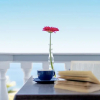 Отель Diamond View Luxury on Your way to VAI Sitia, фото 8