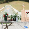 Отель Memedee Manor Homestay, фото 3