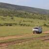 Отель Kimana Amboseli Camp, фото 27