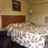 Отель Pine Ridge Motel, фото 4
