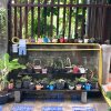 Отель Proud nan cottage в Nan