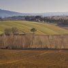 Отель Verdidea - VILLA DEL LAGO, фото 46