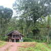 Отель Nanapu Homestay, фото 10