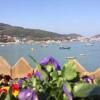 Отель Zhoushan Jinghong Fishing Village Inn, фото 26