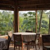 Отель Tigertops Elephant Camp, фото 9