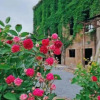 Отель Lavande Hotel Guilin Airport Road Dongan, фото 11