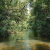 Отель Cardamom Tented Camp, фото 27