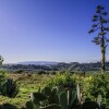 Отель Salemi Agriturismo, фото 24